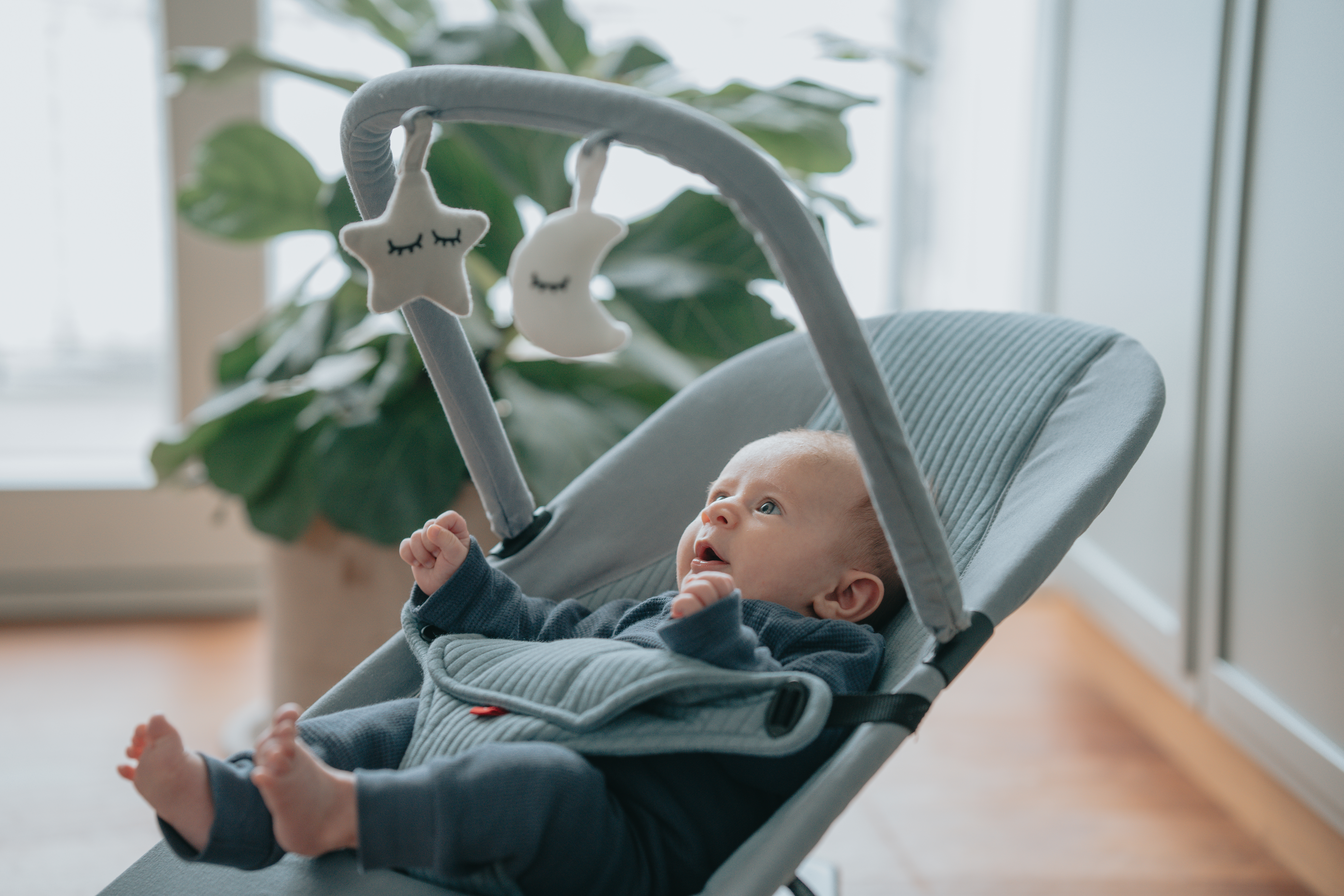 Flex Bouncer Flex Bouncer